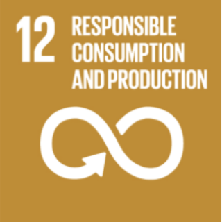SDG12: Verantwoordelijke consumptie en productie