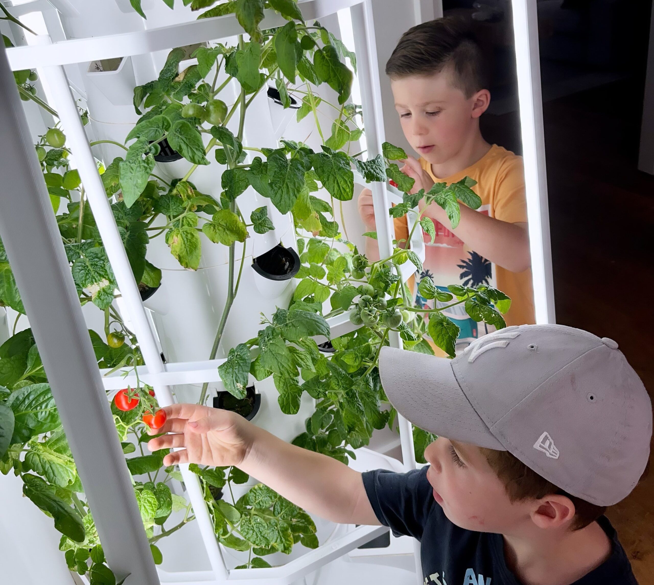 foto tuintoren jongens