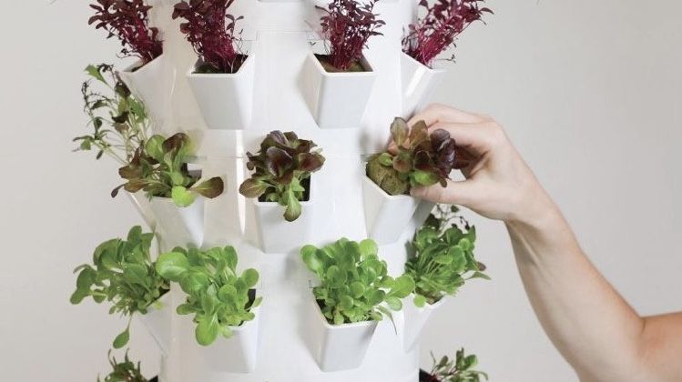 verticale moestuin in de klas